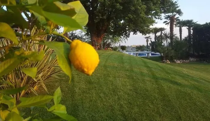 Apartment Giare Bardolino